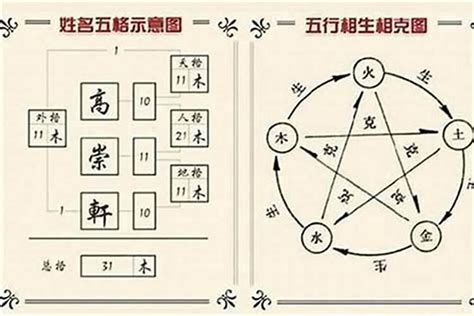 五行 甲木|周易姓名学之汉字五行——甲木篇！